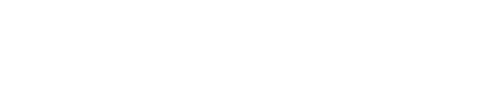 The Sunday Traveller — Bookmarked & Bewildered